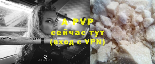 прущие грибы Бородино