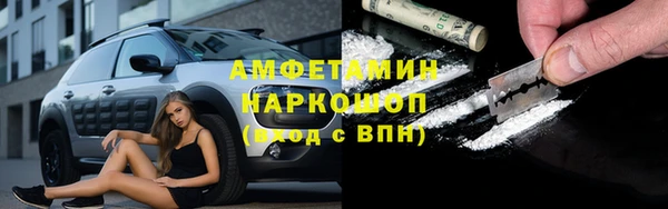 прущие грибы Бородино