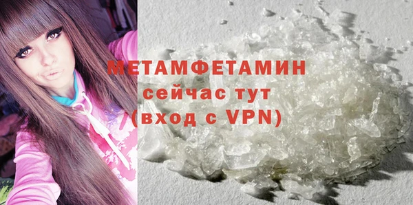 прущие грибы Бородино