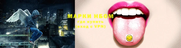 прущие грибы Бородино