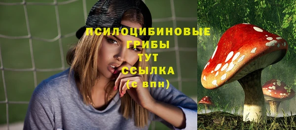 mdpv Бугульма