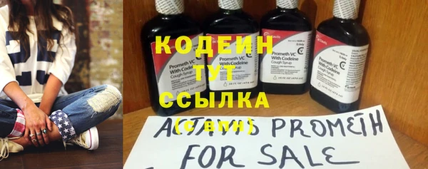 прущие грибы Бородино