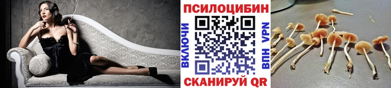 закладки  Дубна  Галлюциногенные грибы мухоморы 